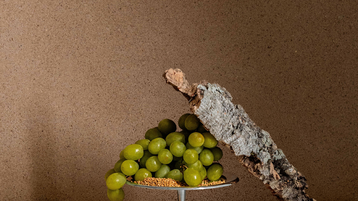 MateriaViva Sughero