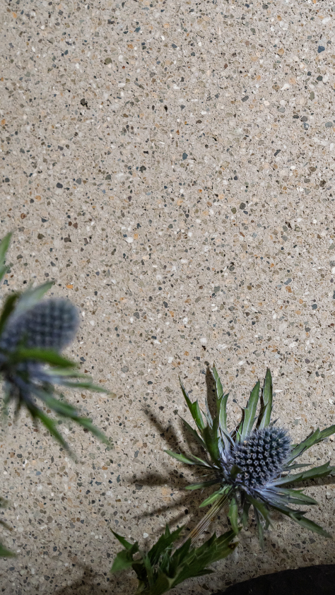 Materia Viva Pomice