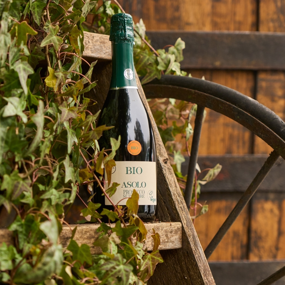 Bio Vegan Asolo Prosecco Superiore DOCG Extra Dry - thumb image 2