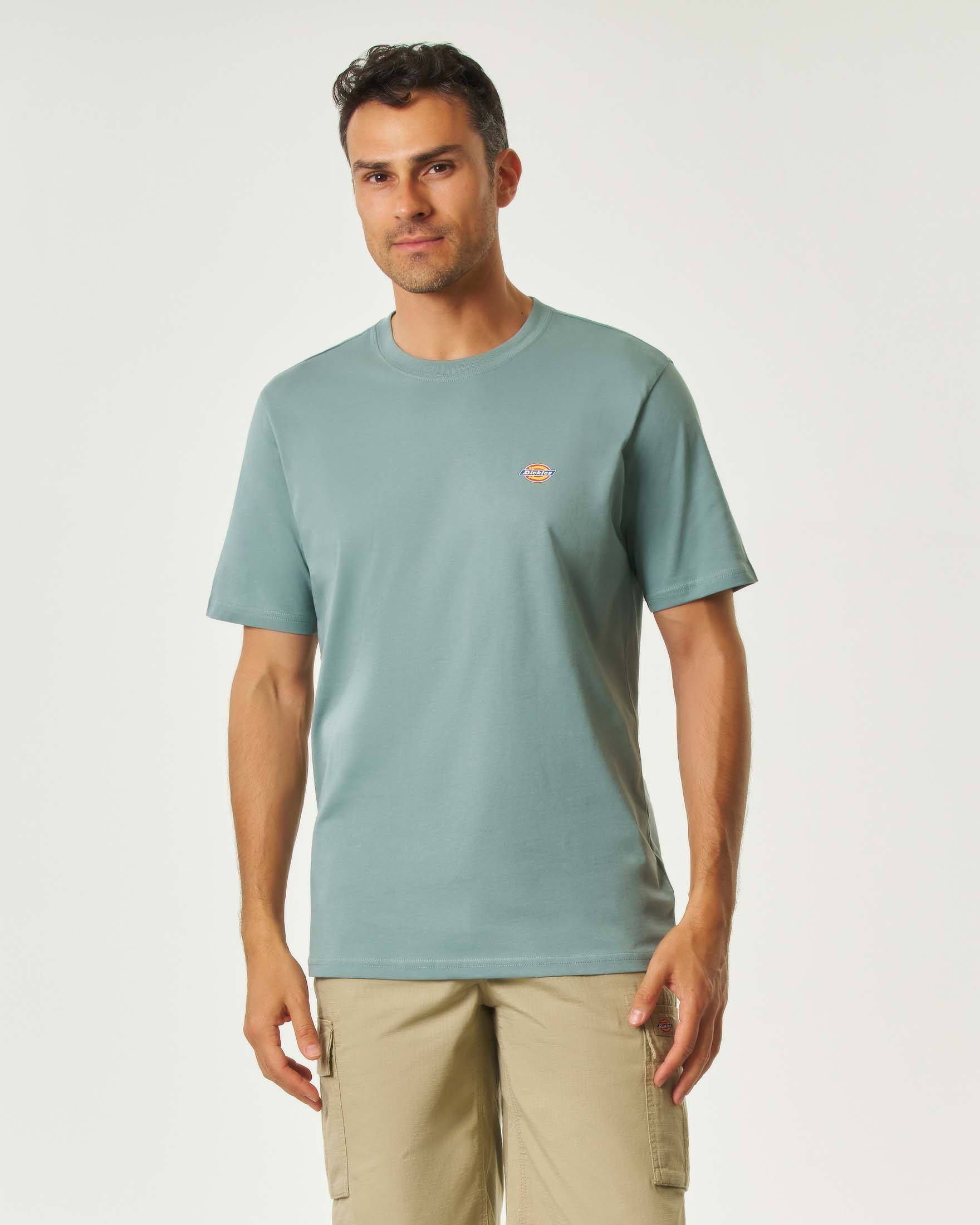 T-shirt mezza manica Dickies color acqua in jersey di cotone
