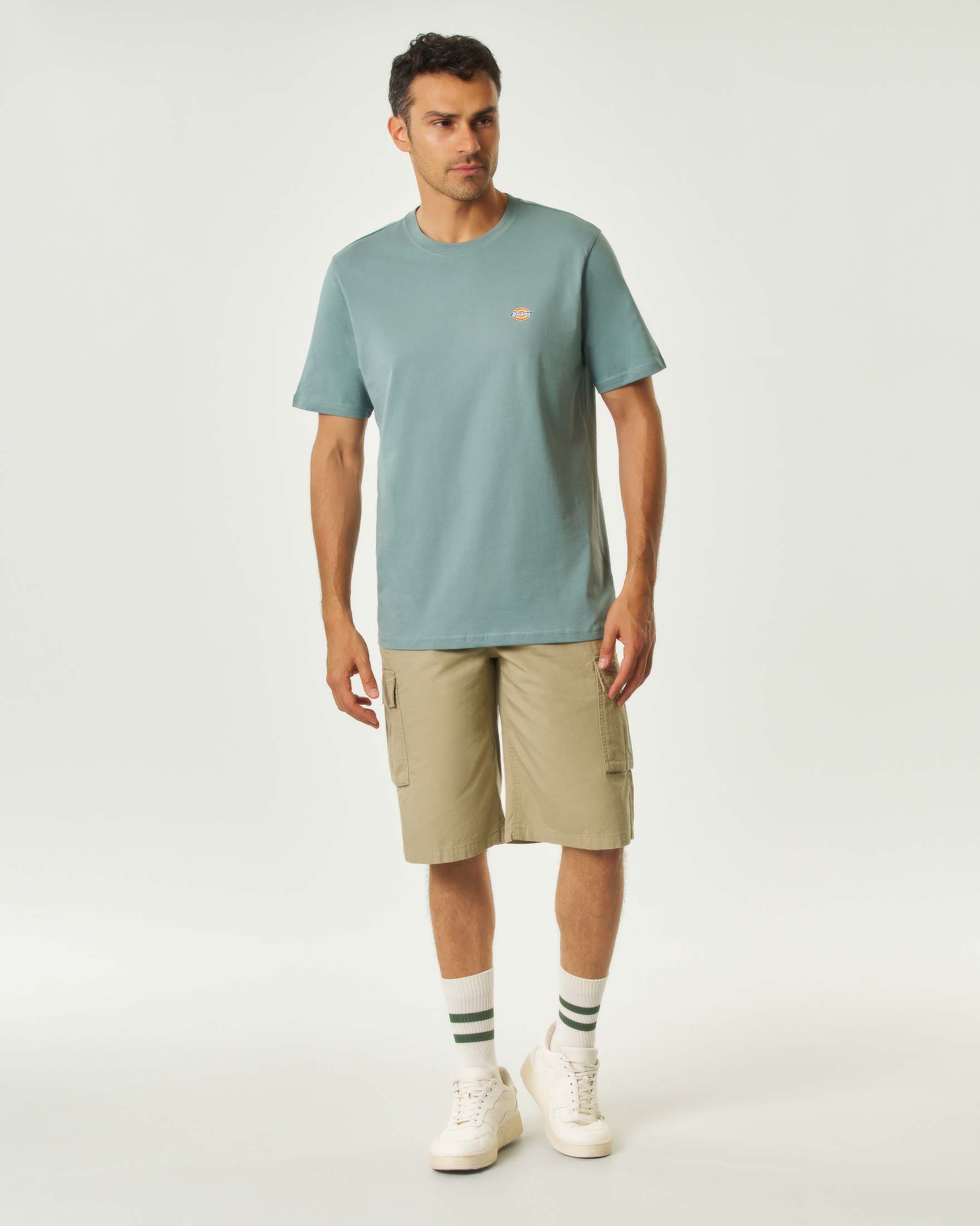 T-shirt mezza manica Dickies color acqua in jersey di cotone image