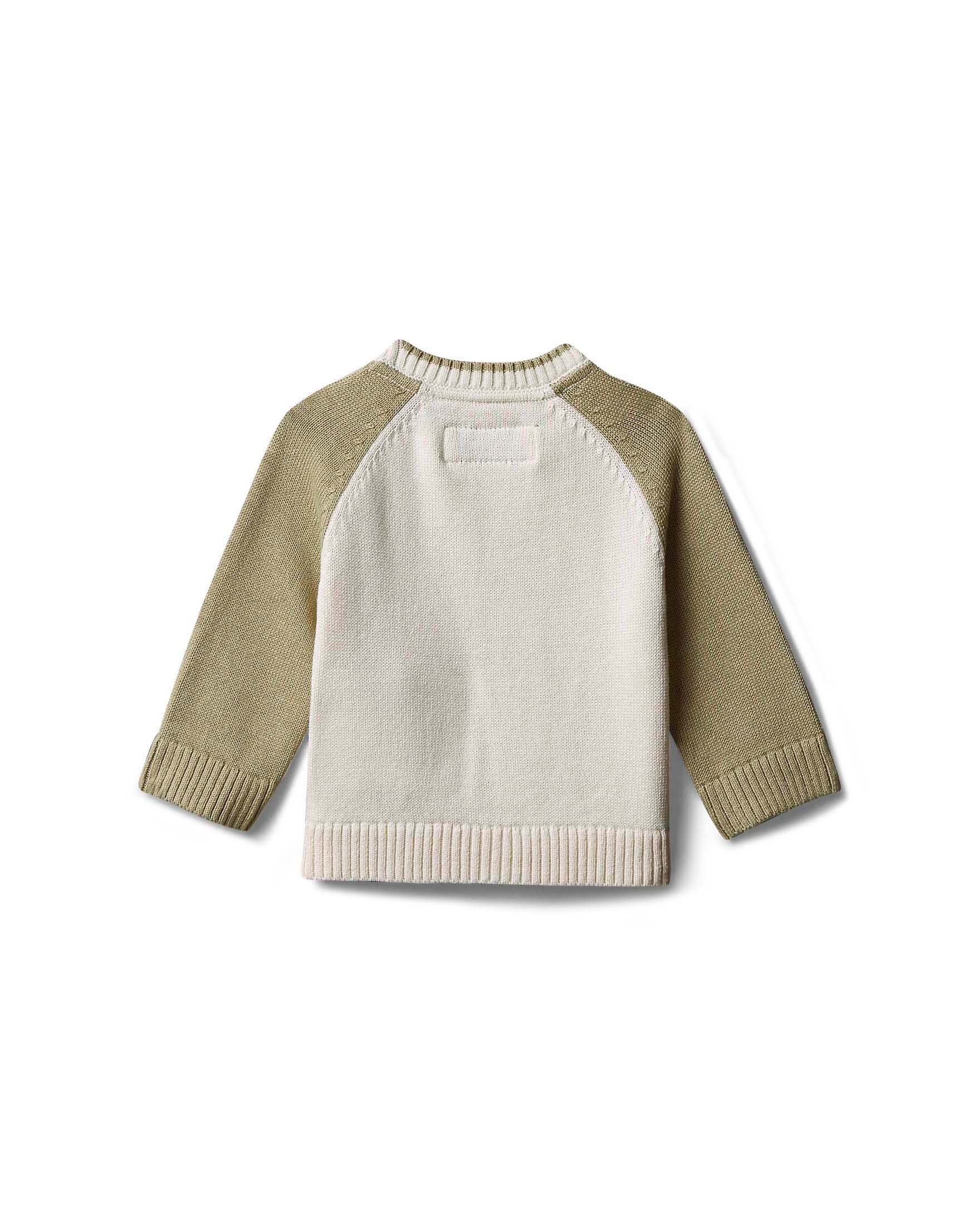 Maglioncino avorio e verde salvia Calvin Klein in puro cotone tricot image