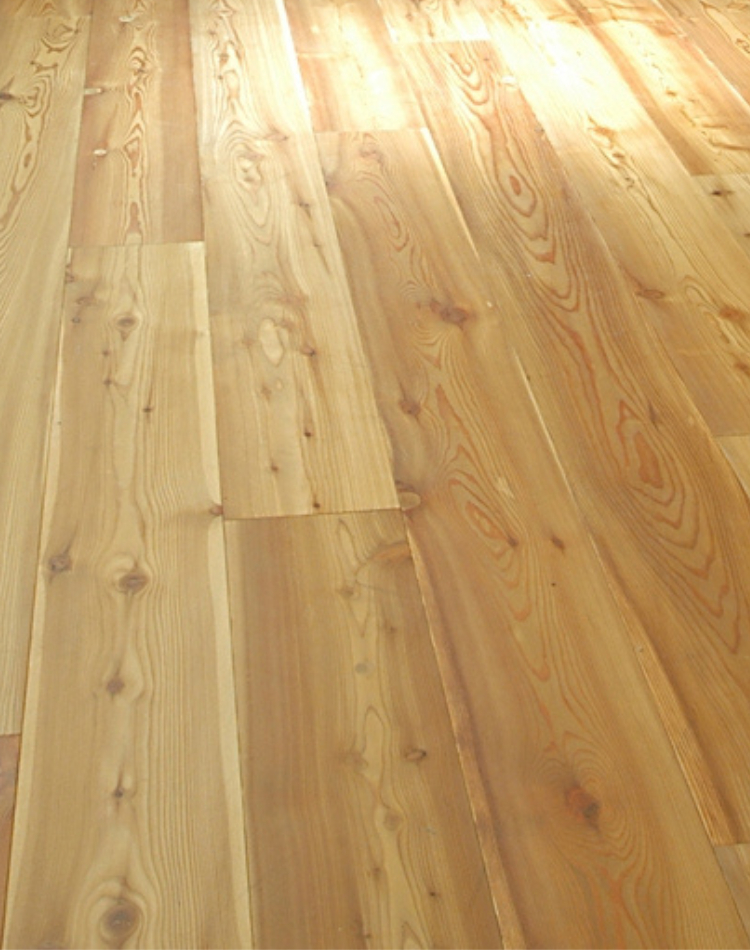 Parquet legno larice golded