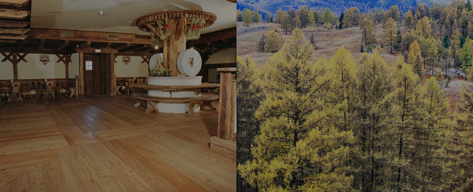 Legno di larice per pavimenti, parquet, rivestimenti, soffitti, scale e mobili