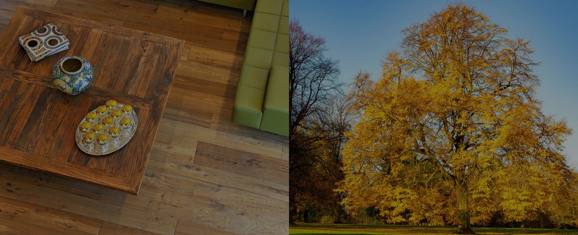 Elm wood for flooring, parquet, wall paneling, ceilings, staircases, and furniture