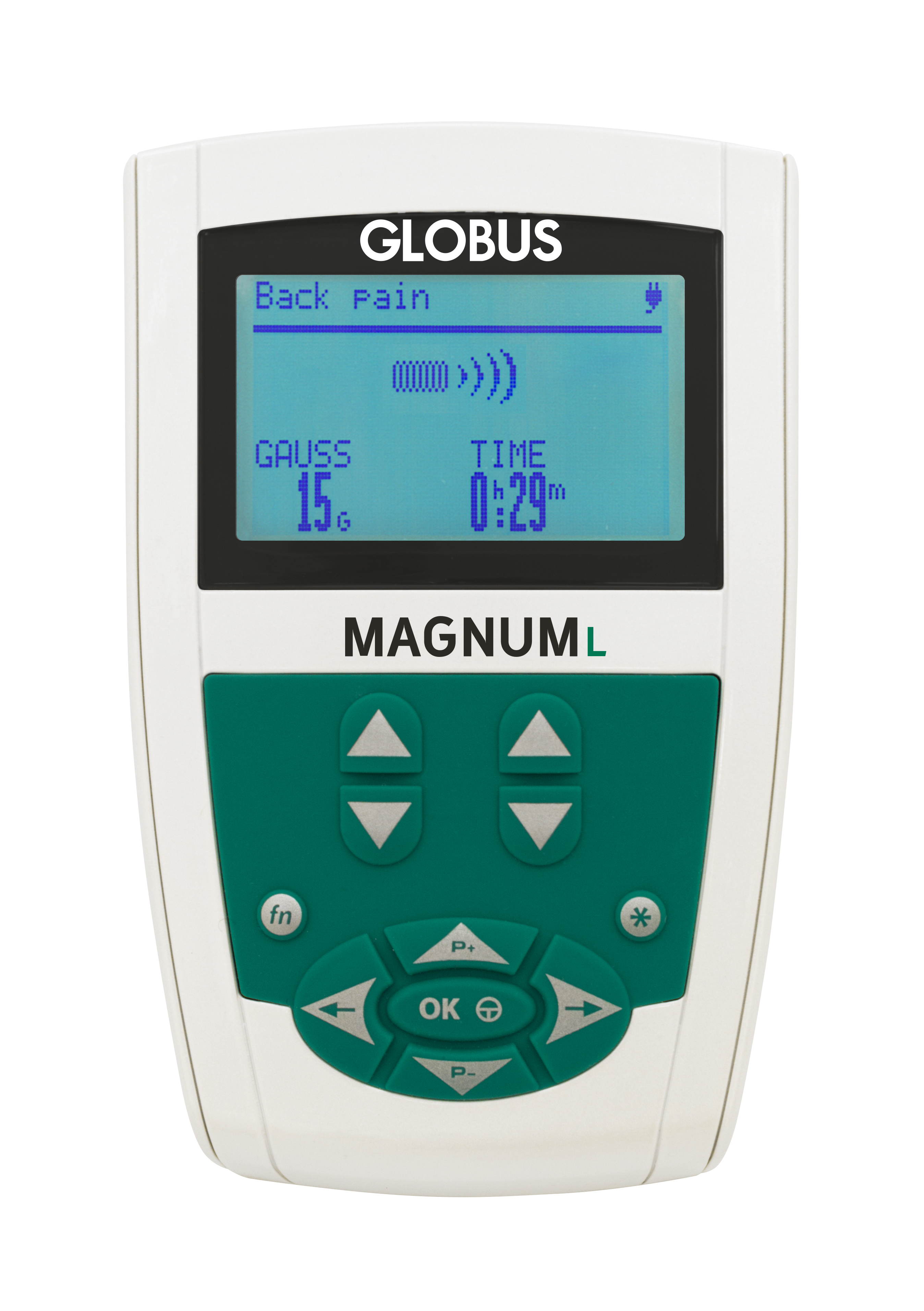 Magnetoterapia Globus Magnum L  1 Canale 160 Gauss